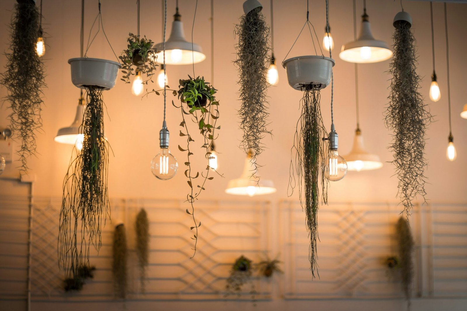 Transforming Your Home’s Atmosphere: The Magic of Lighting