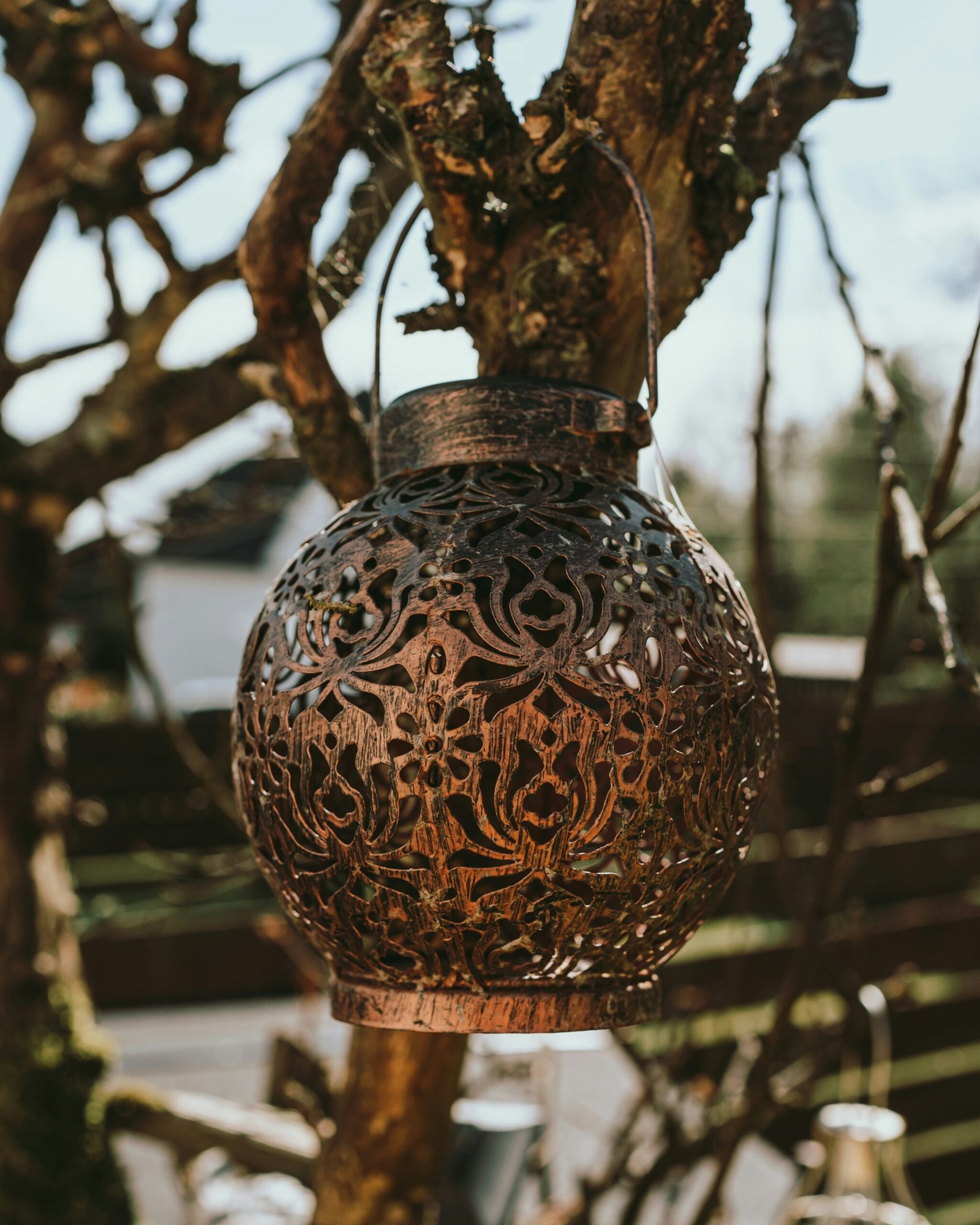 Illuminate Your Yard: Enhancing Curb Appeal with Solar Lights